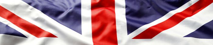 cat-notarization-big