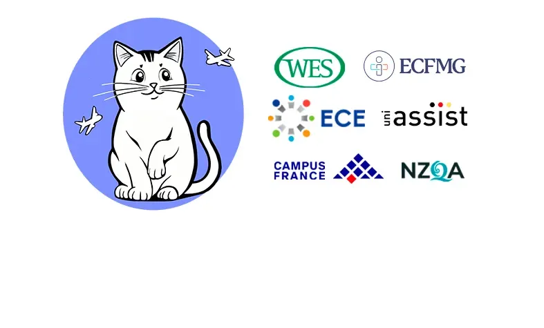 Перевод для WES, ECFMG, NZQA, ECE, Uni-Assist, Campus France